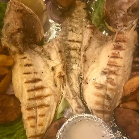 Premium Hotel, Mediterranean Food & Mezze Bar